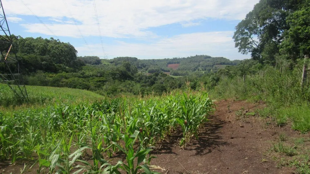 Loteamento e Condomínio, 12 hectares - Foto 4