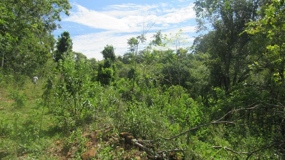 Loteamento e Condomínio, 12 hectares - Foto 8