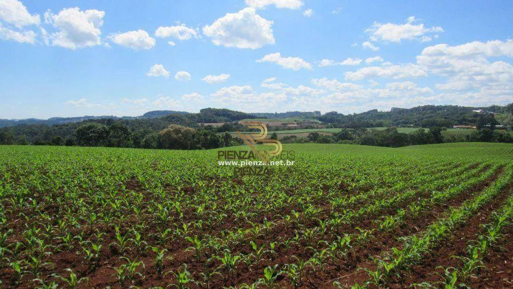 Terreno à venda, 108000M2 - Foto 8