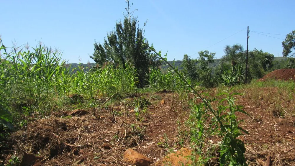 Terreno, 1000 m² - Foto 17