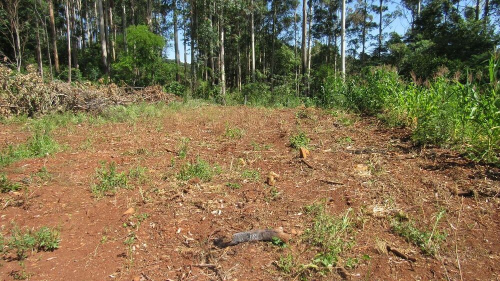 Terreno, 1000 m² - Foto 35