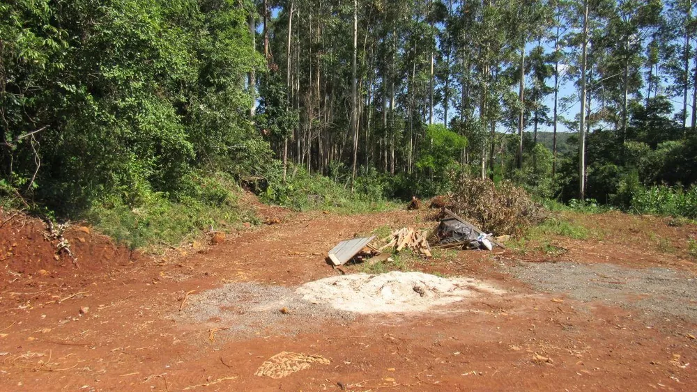 Terreno, 1000 m² - Foto 1
