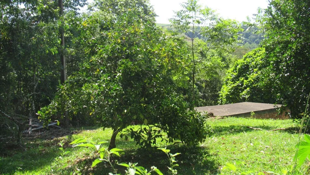 Terreno, 1000 m² - Foto 24