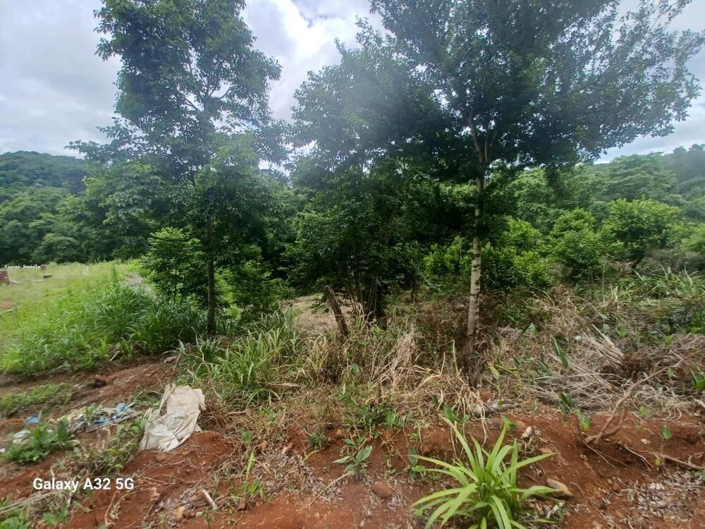 Terreno, 9 hectares - Foto 12