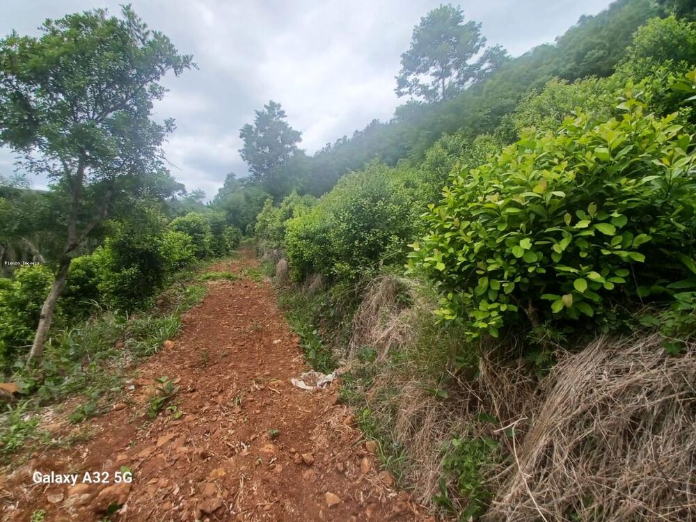 Terreno, 9 hectares - Foto 2