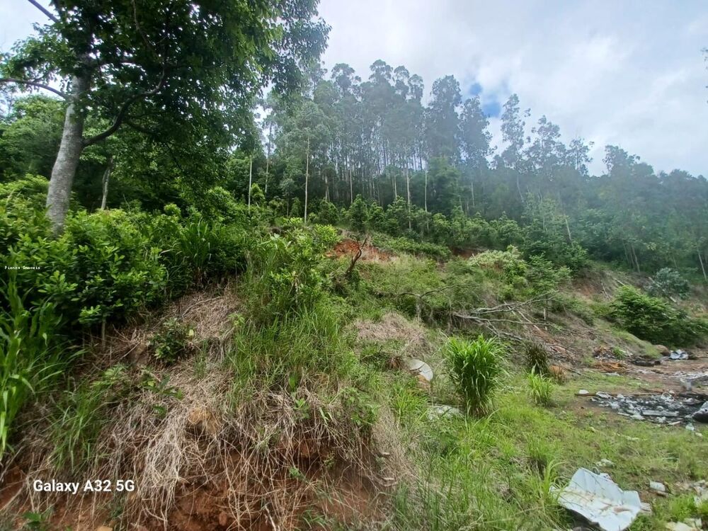 Terreno, 9 hectares - Foto 7