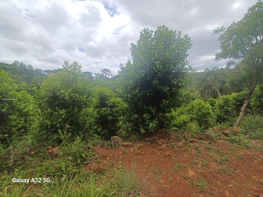 Terreno, 9 hectares - Foto 6