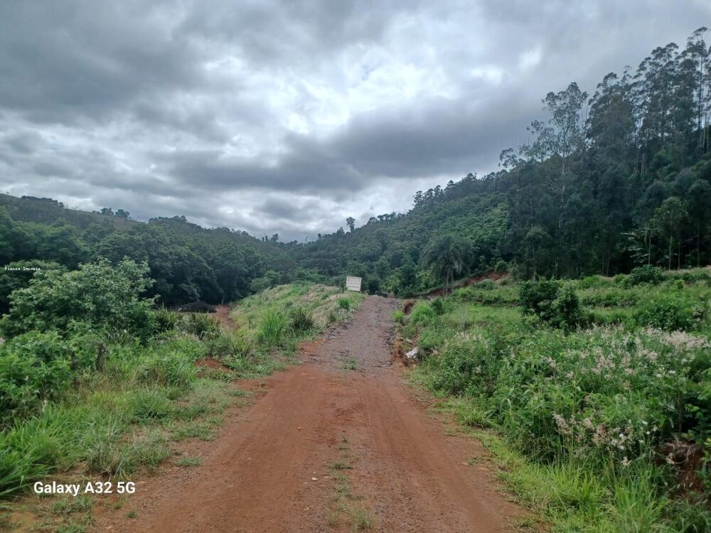 Terreno, 9 hectares - Foto 4