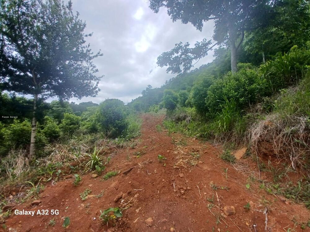 Terreno, 9 hectares - Foto 10