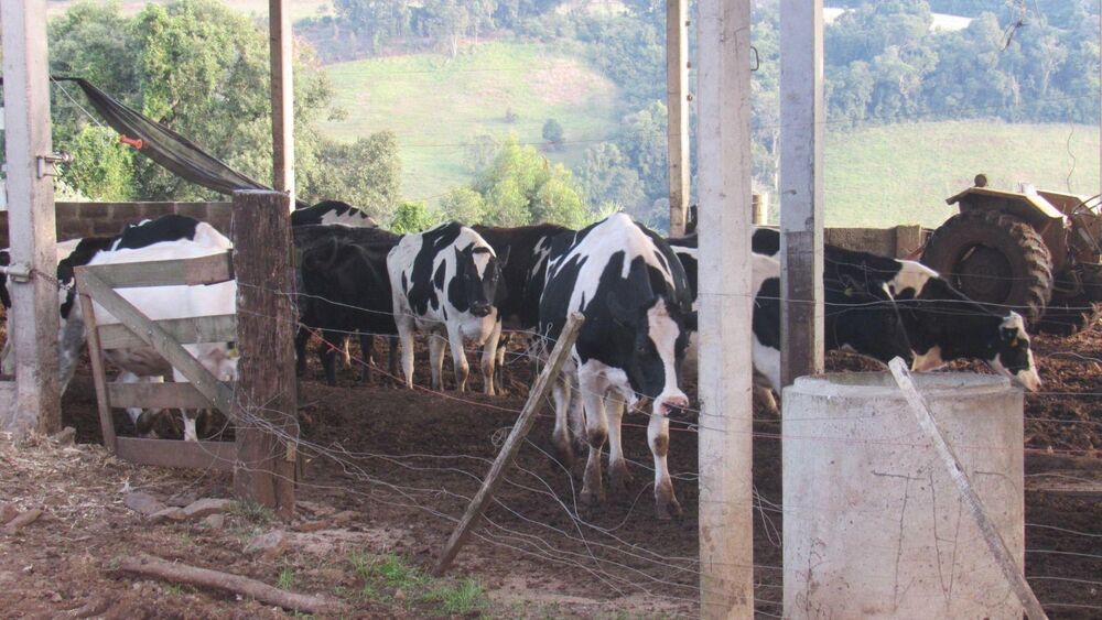 Loteamento e Condomínio, 36 hectares - Foto 2