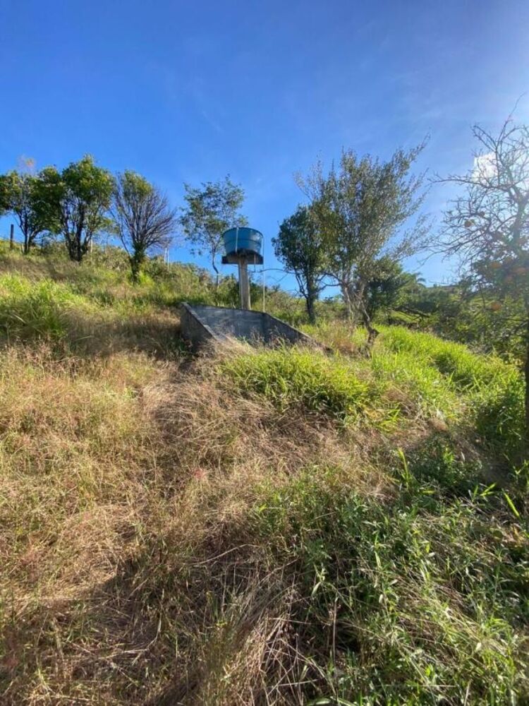 Casa, 4 quartos, 120 m² - Foto 2