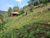 Chácara, 2600 m² - Foto 3
