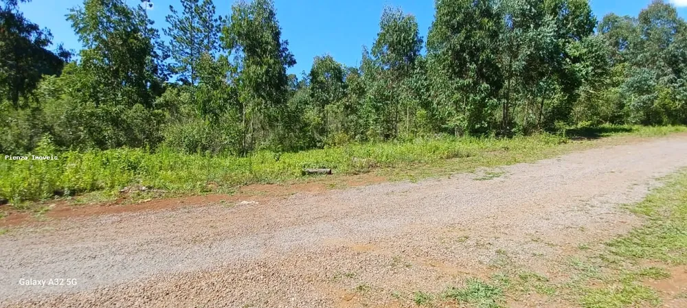Terreno, 14 hectares - Foto 7