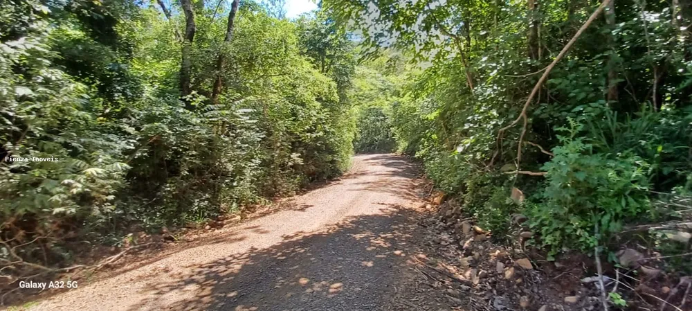 Terreno, 14 hectares - Foto 4