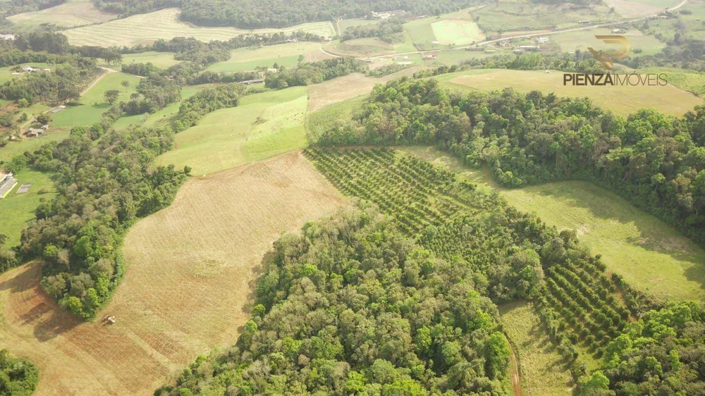 Terreno à venda, 242000M2 - Foto 4