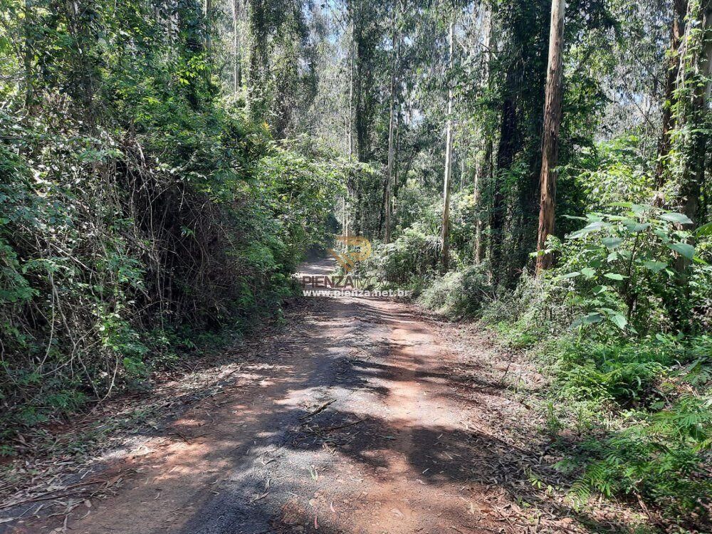 Loteamento e Condomínio, 35 hectares - Foto 6