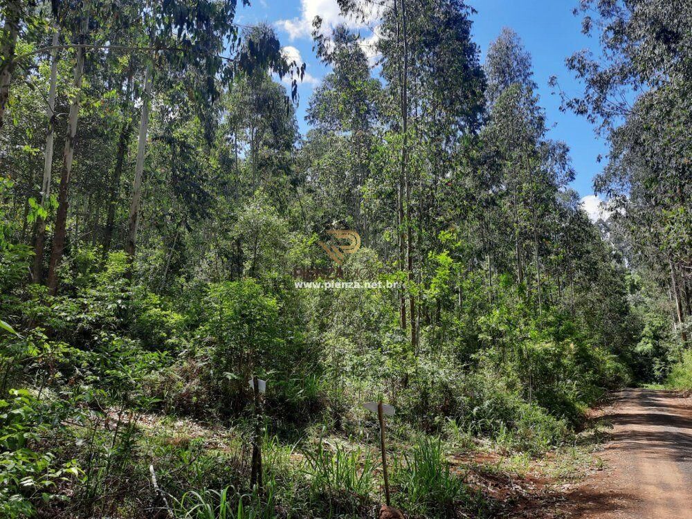 Loteamento e Condomínio, 35 hectares - Foto 4