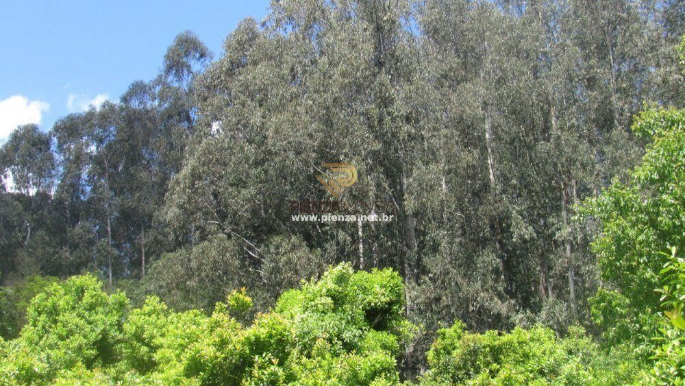 Loteamento e Condomínio, 35 hectares - Foto 7