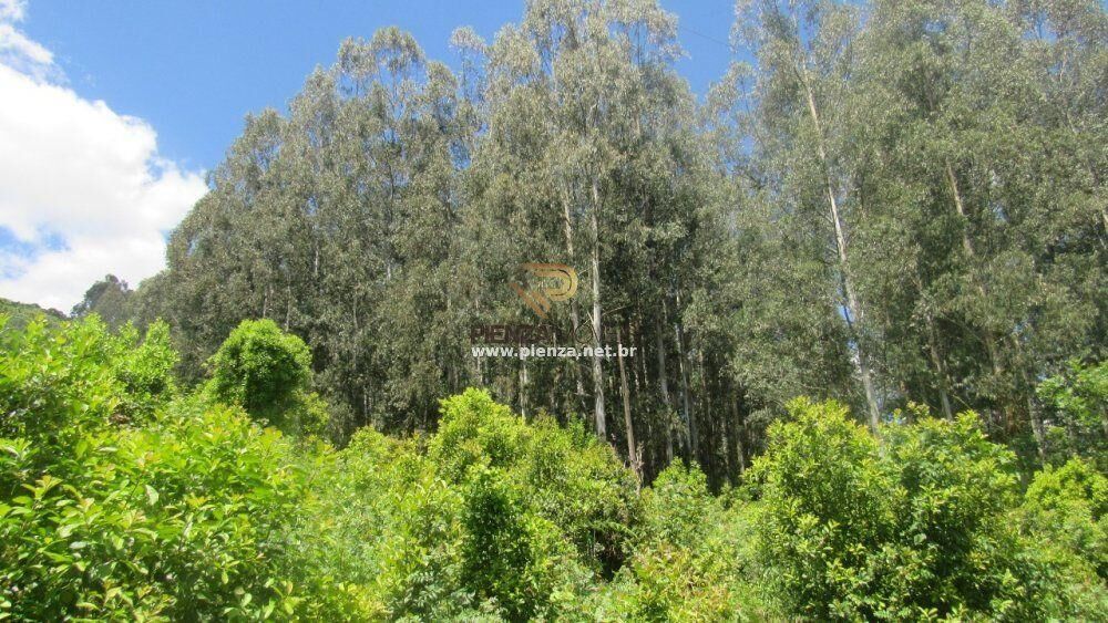 Loteamento e Condomínio, 35 hectares - Foto 10