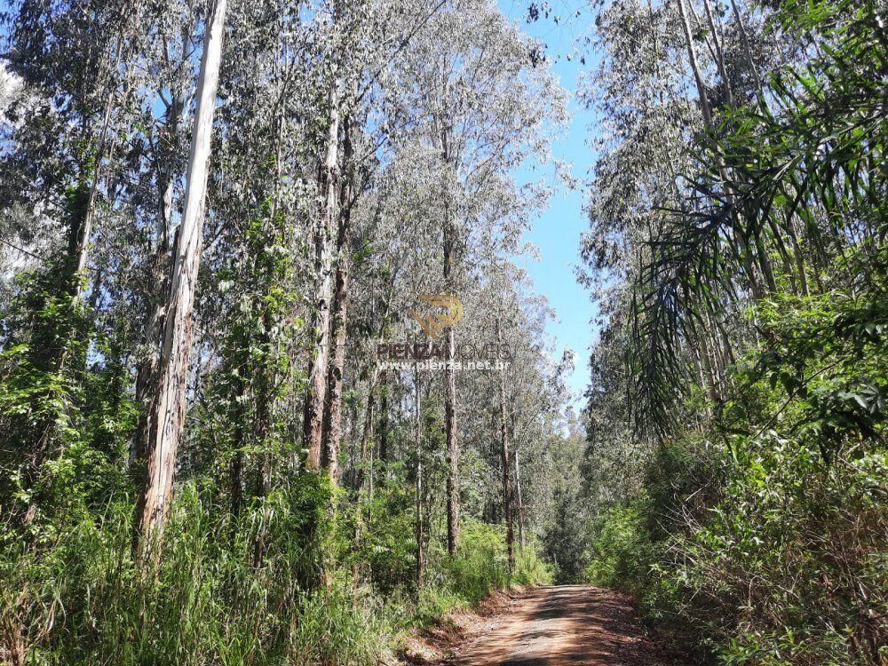 Loteamento e Condomínio, 35 hectares - Foto 2
