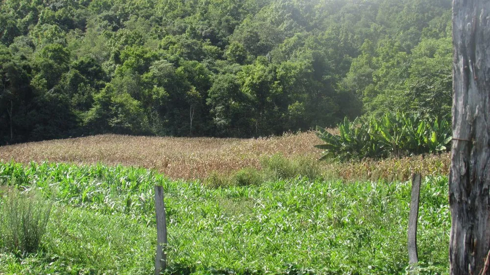 Loteamento e Condomínio, 10 hectares - Foto 7