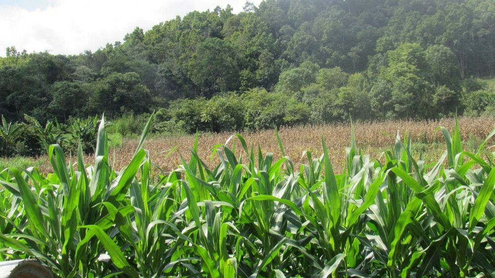 Loteamento e Condomínio, 10 hectares - Foto 2