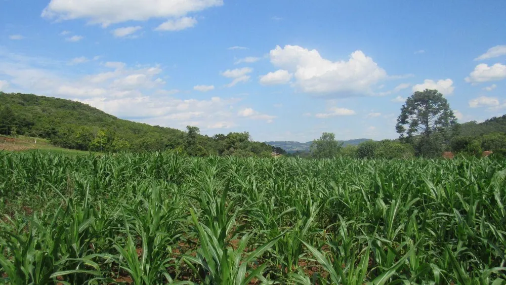Loteamento e Condomínio, 10 hectares - Foto 11