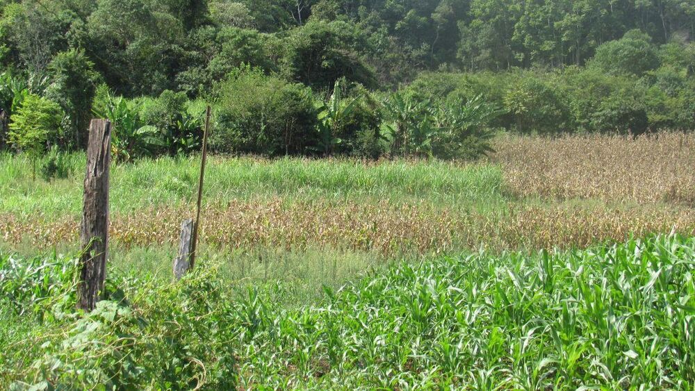 Loteamento e Condomínio, 10 hectares - Foto 3