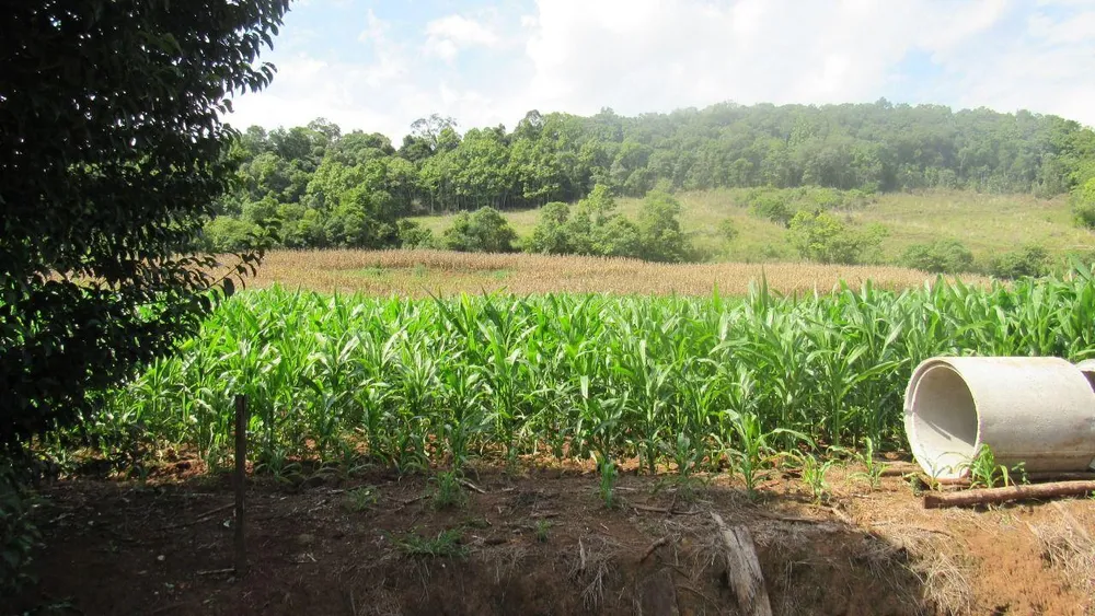 Loteamento e Condomínio, 10 hectares - Foto 2
