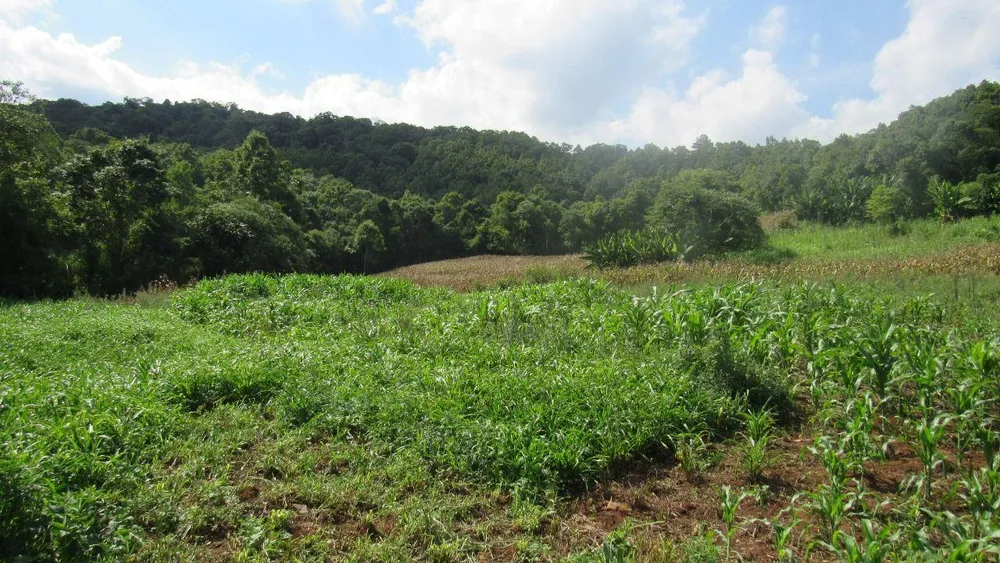 Loteamento e Condomínio, 10 hectares - Foto 10