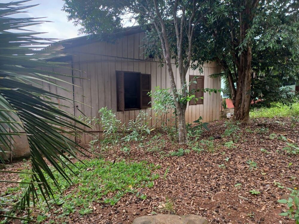 Casa, 4 quartos, 100 m² - Foto 4