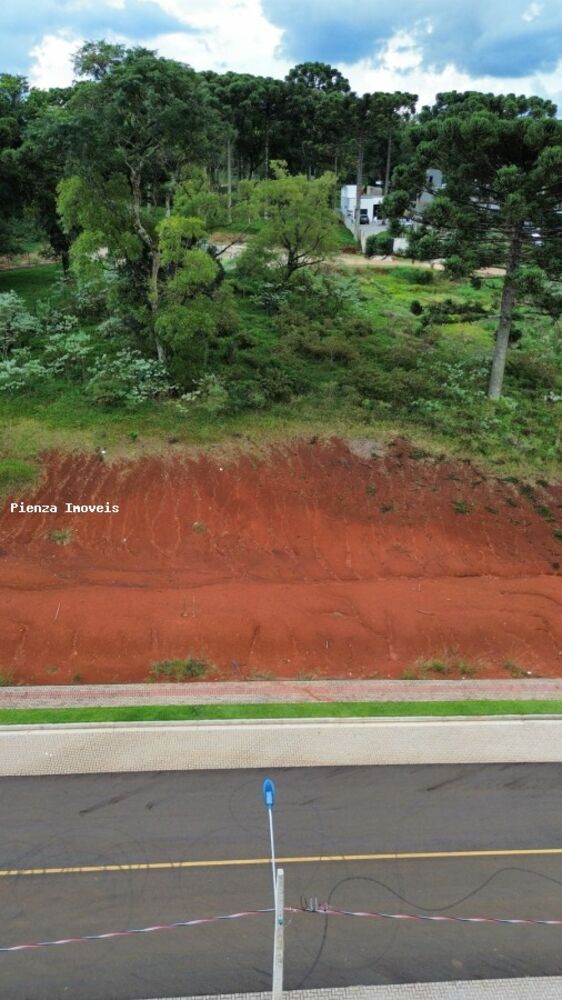 Terreno à venda, 600m² - Foto 2