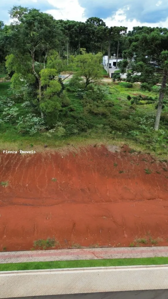 Terreno, 600 m² - Foto 12