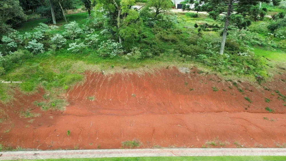 Terreno, 600 m² - Foto 2