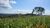 Terreno, 3 hectares - Foto 6