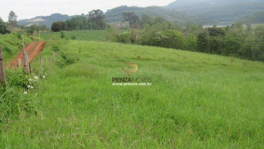 Terreno, 3 hectares - Foto 6
