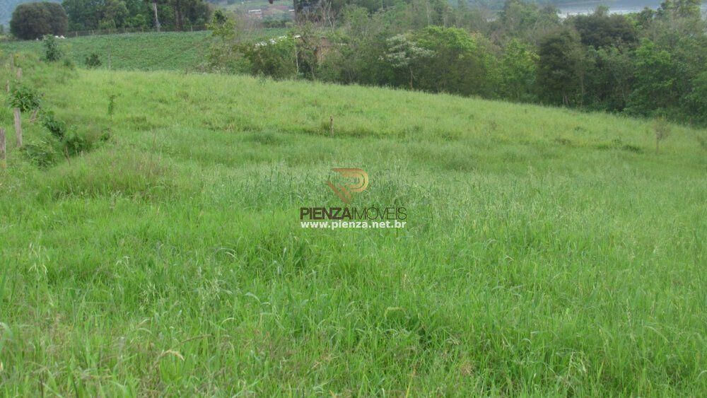 Terreno, 3 hectares - Foto 1