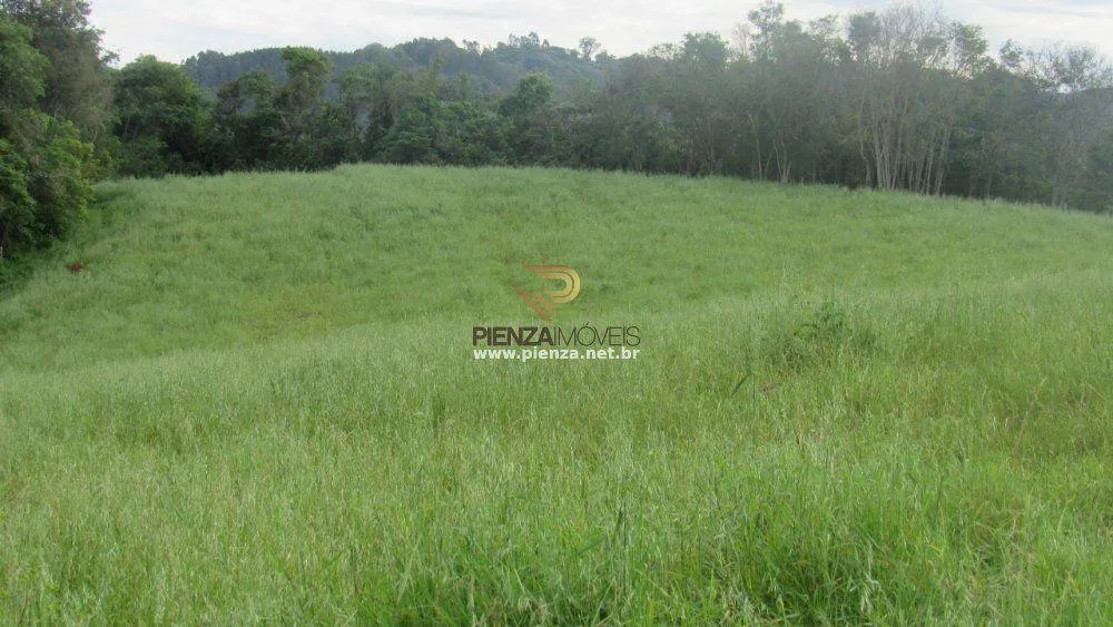 Terreno, 3 hectares - Foto 8
