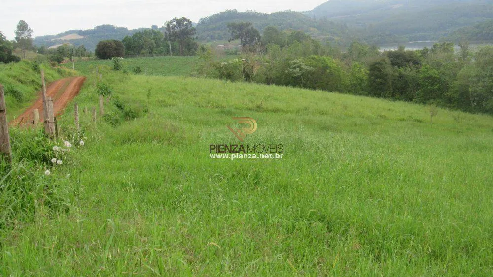 Terreno, 3 hectares - Foto 6