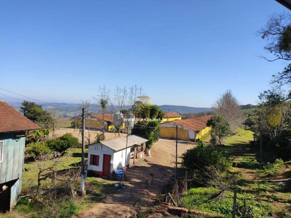 Sítio, 7 hectares - Foto 4