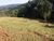 Fazenda, 7 hectares - Foto 1