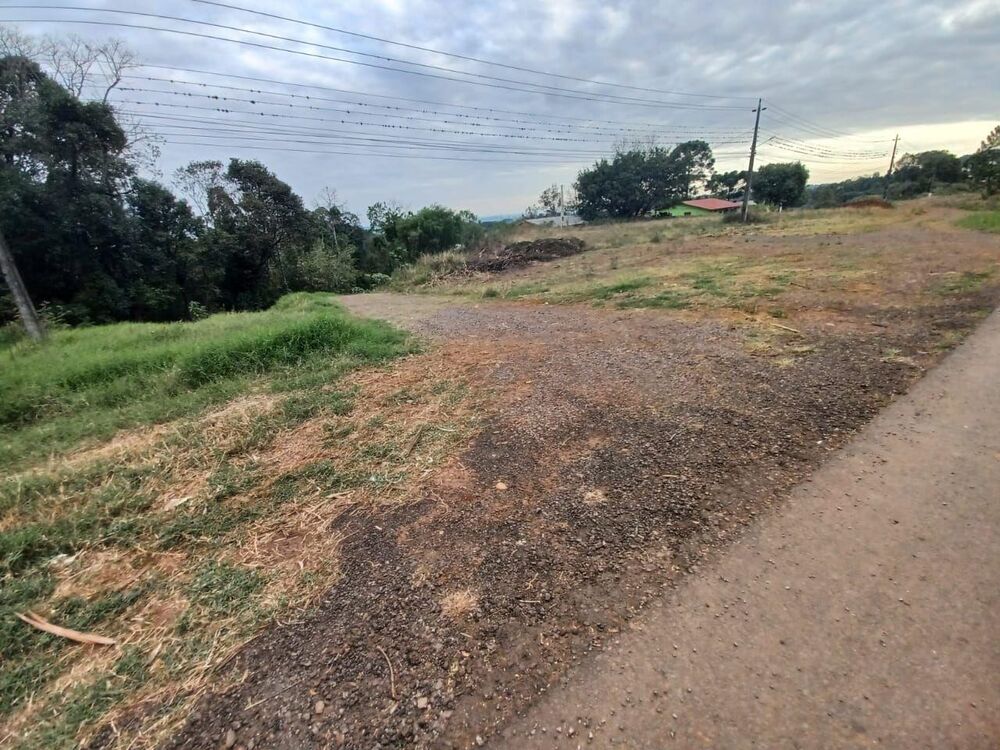 Terreno, 2545 m² - Foto 3