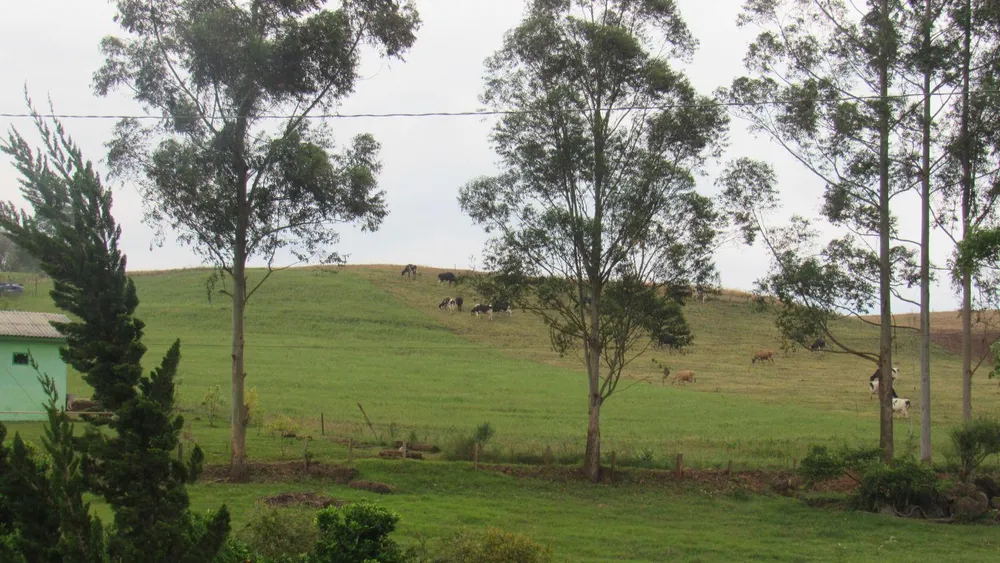 Loteamento e Condomínio, 27 hectares - Foto 11