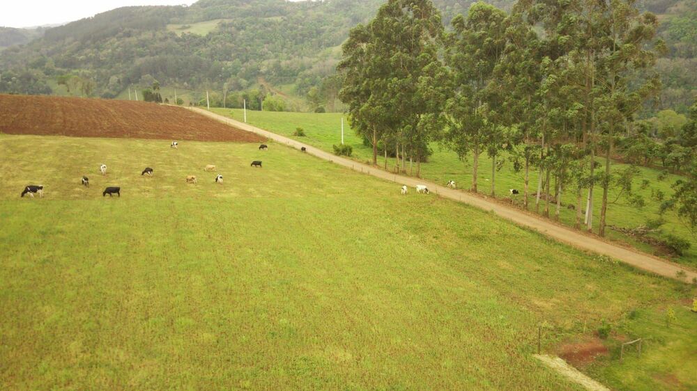 Loteamento e Condomínio, 27 hectares - Foto 1
