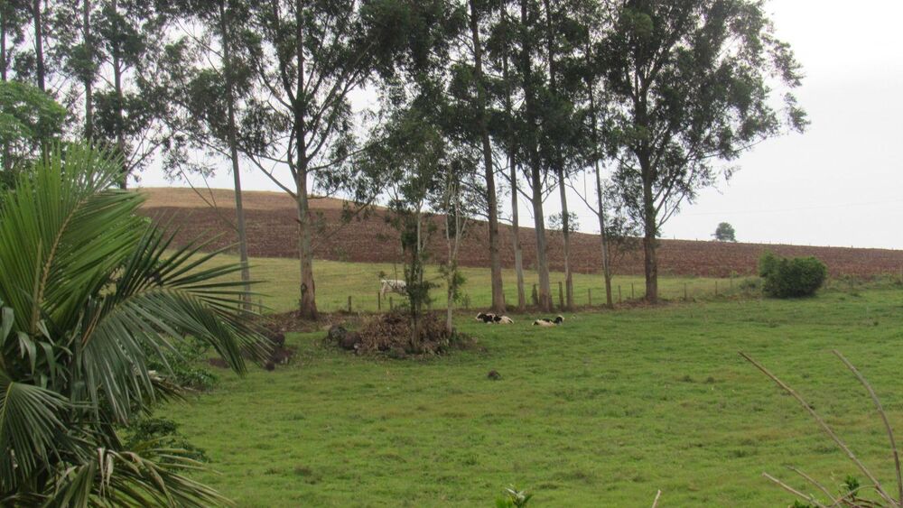 Loteamento e Condomínio, 27 hectares - Foto 4