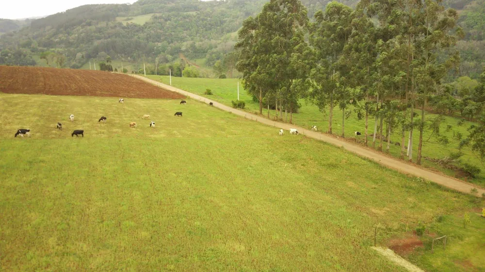 Loteamento e Condomínio, 27 hectares - Foto 9