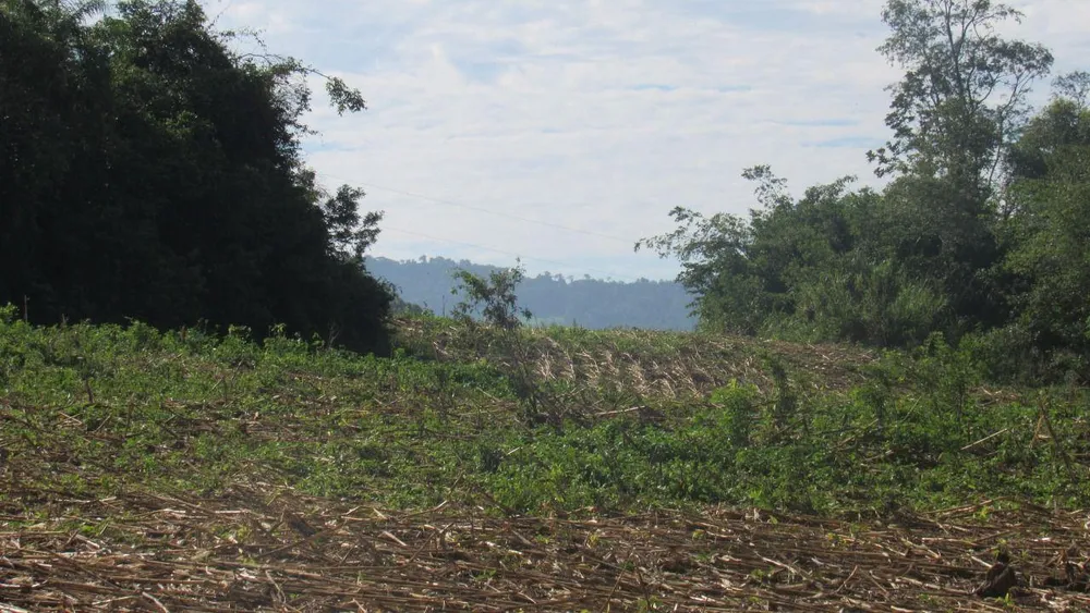 Loteamento e Condomínio, 20 hectares - Foto 4