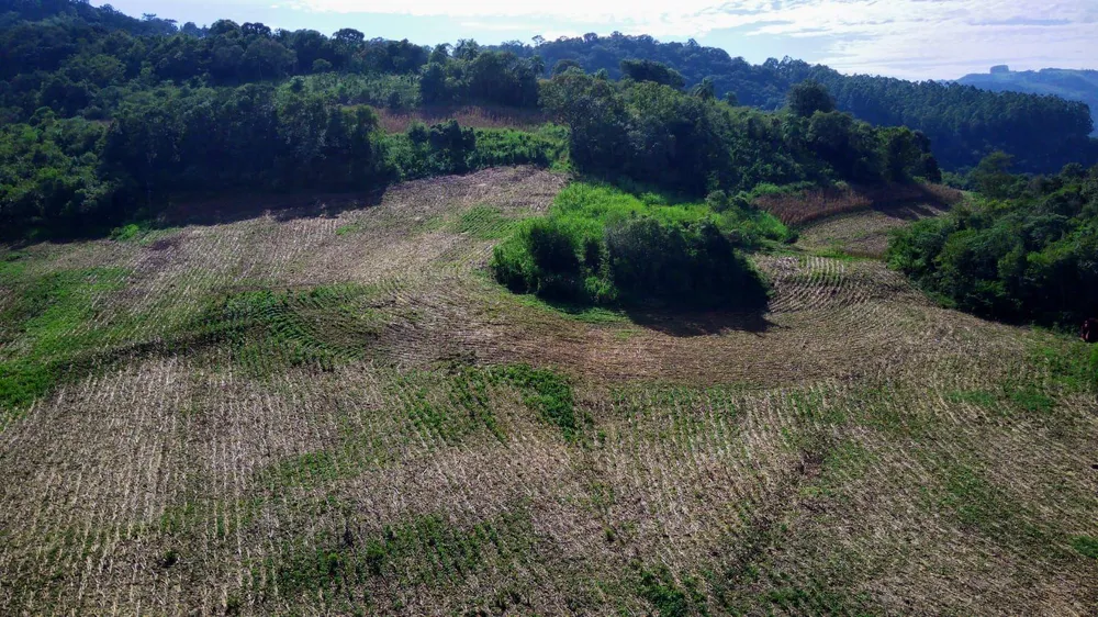Loteamento e Condomínio, 20 hectares - Foto 1