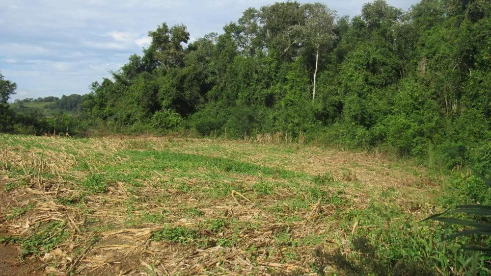 Loteamento e Condomínio, 20 hectares - Foto 6