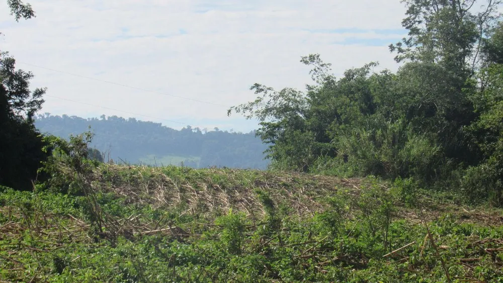 Loteamento e Condomínio, 20 hectares - Foto 8